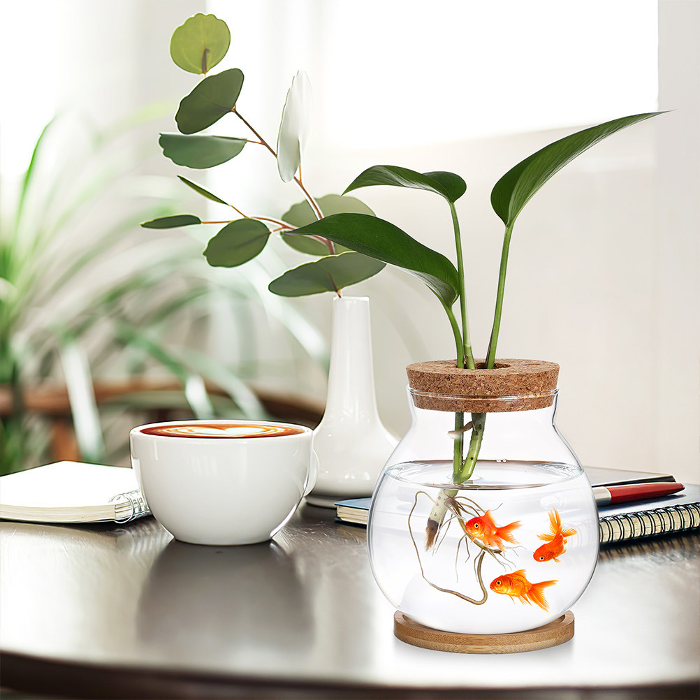 Betta Fish Tank - Kapaklı Betta Balığı Akvaryumu – Küçük