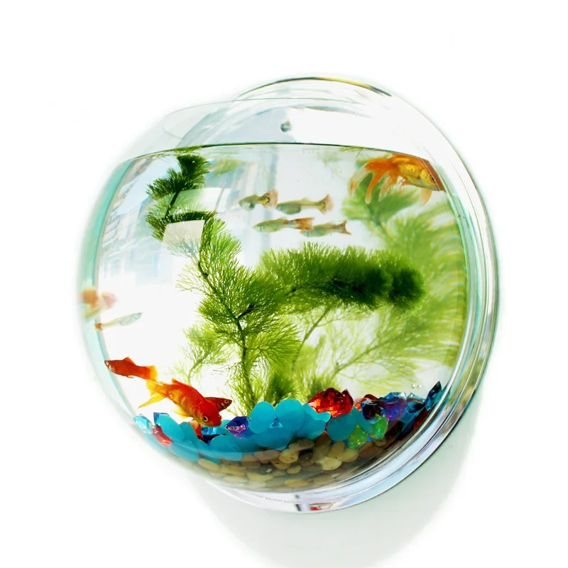 Betta Fish Tank - Pinsjar Akrilik Balık Kabı, Duvara Asılabilen