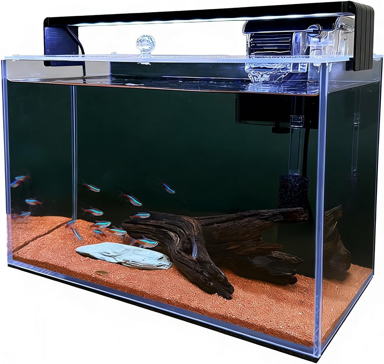 3,2 Galon Nano Nature Akvaryum - Betta Fish Tank incelemesi ve fiyatı