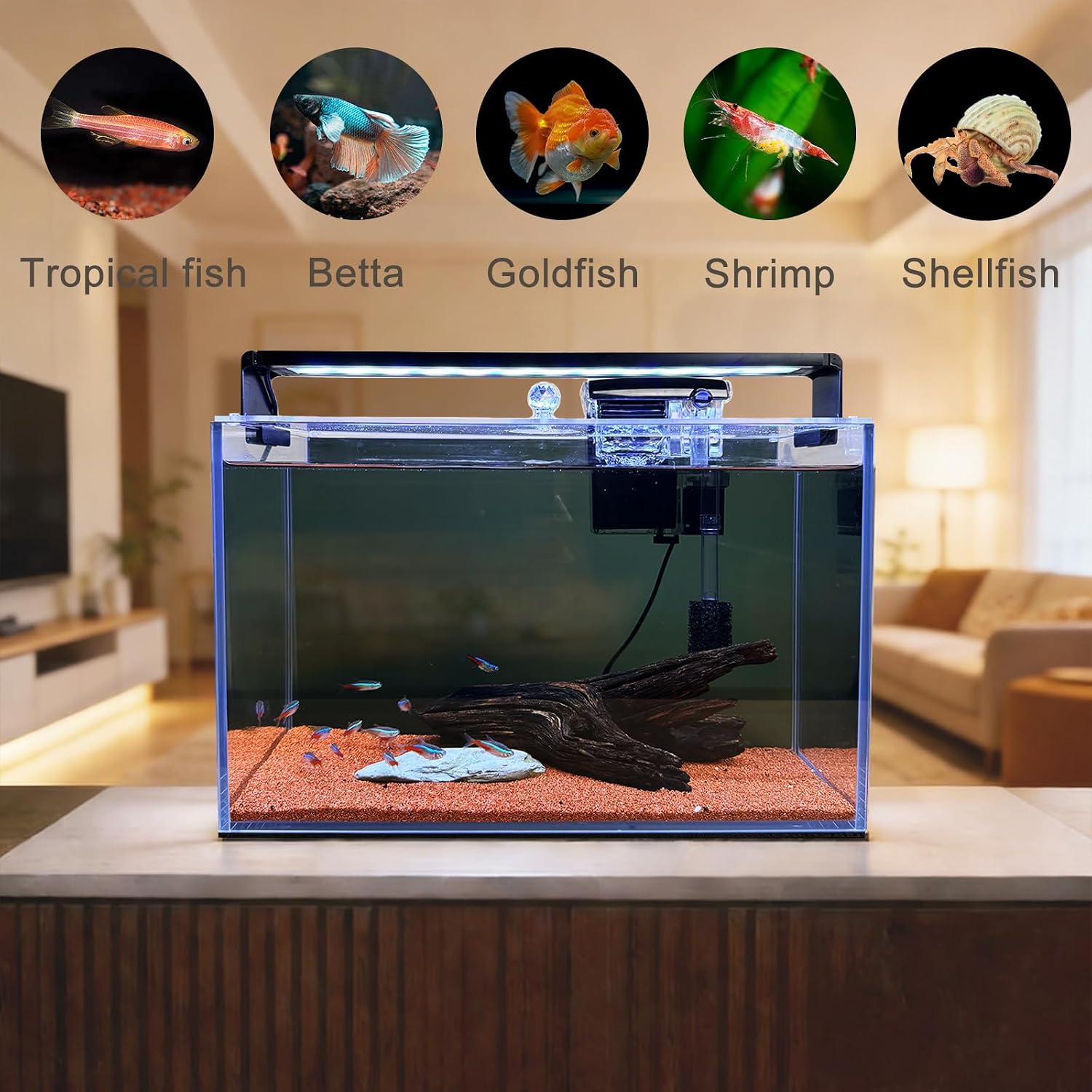 3,2 Galon Nano Nature Akvaryum - Betta Fish Tank incelemesi ve fiyatı