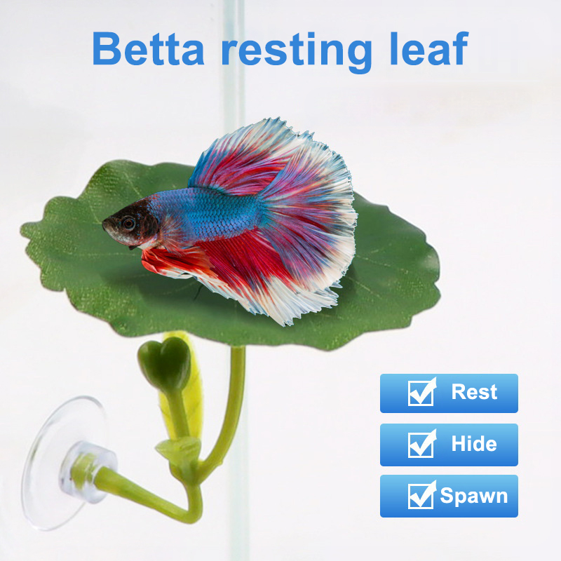 1 adet Betta balığı için yapay - Betta Fish Tank incelemesi ve fiyatı