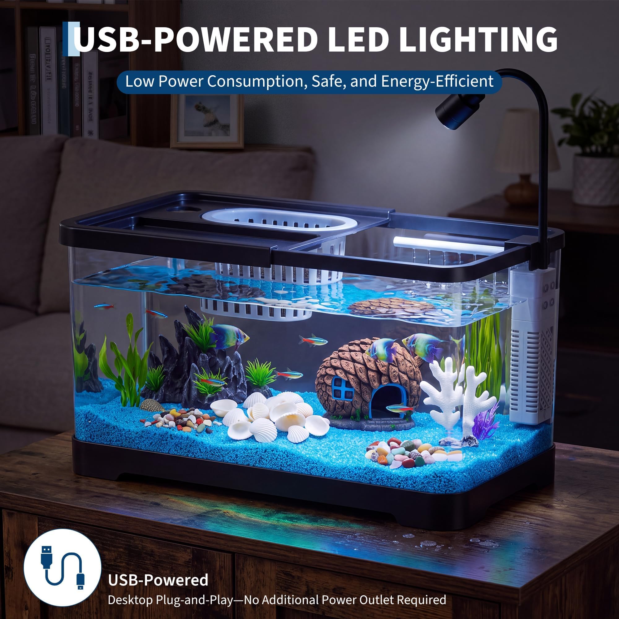 Balık Tankı Başlangıç Seti, Fi - Betta Fish Tank incelemesi ve fiyatı