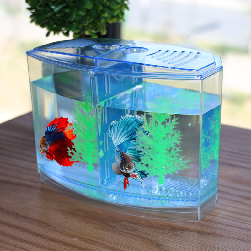 Roman ve Komik Oyuncak Yaratıc - Aquarium Fish Keeping incelemesi ve fiyatı