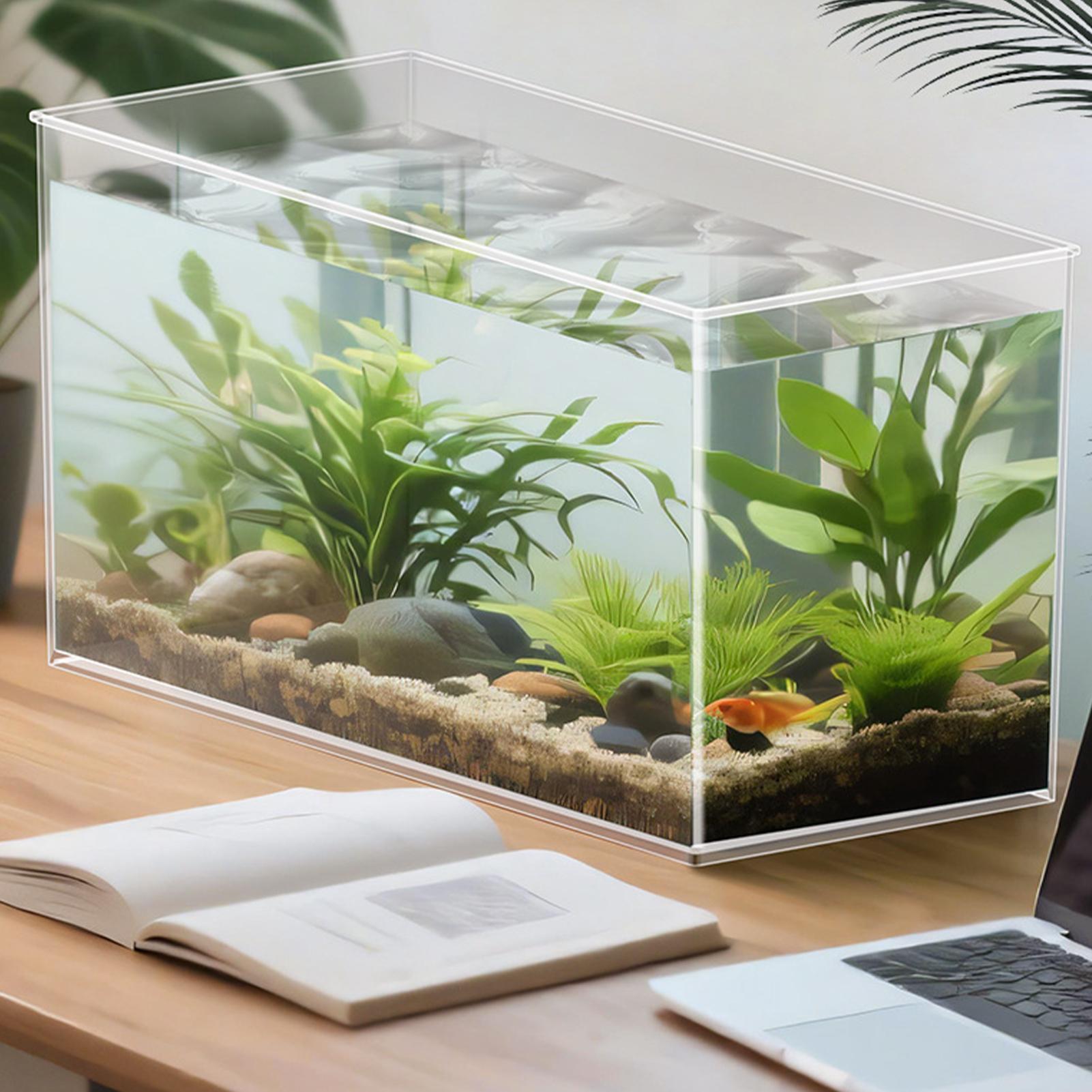 Küçük Balık Tankı Betta Tankı  - Betta Fish Tank incelemesi ve fiyatı