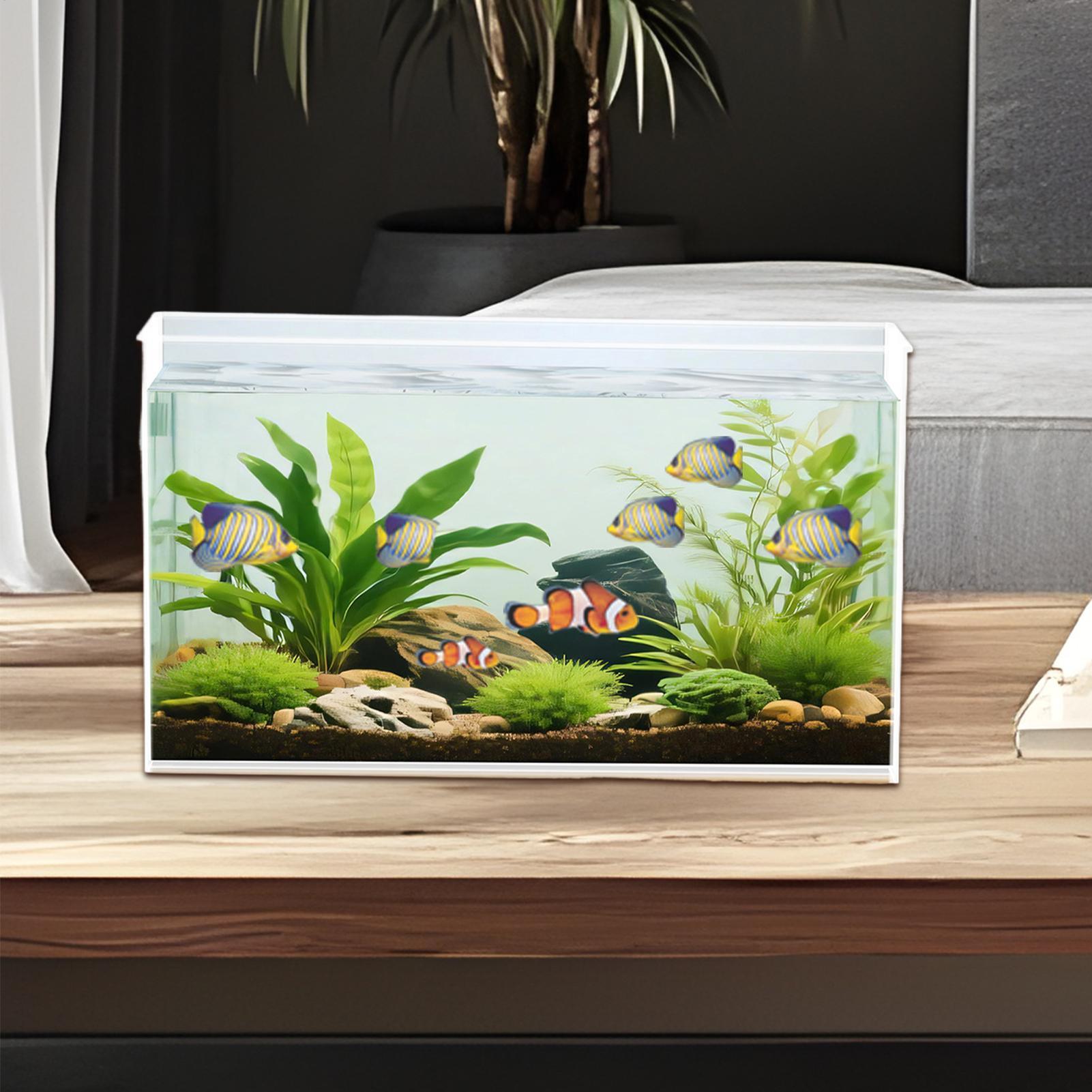 Küçük Balık Tankı Betta Tankı  - Betta Fish Tank incelemesi ve fiyatı