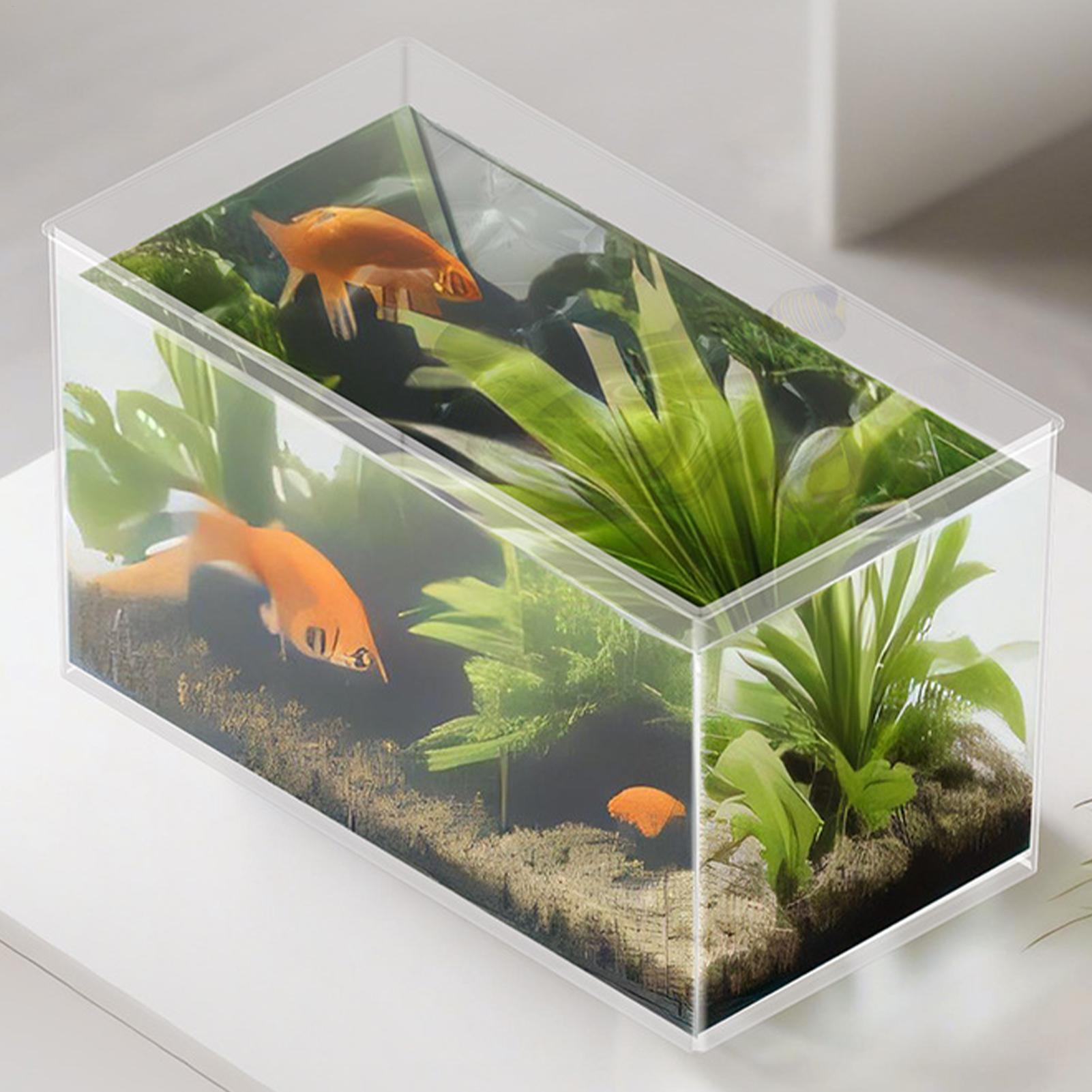 Küçük Balık Tankı Betta Tankı  - Betta Fish Tank incelemesi ve fiyatı