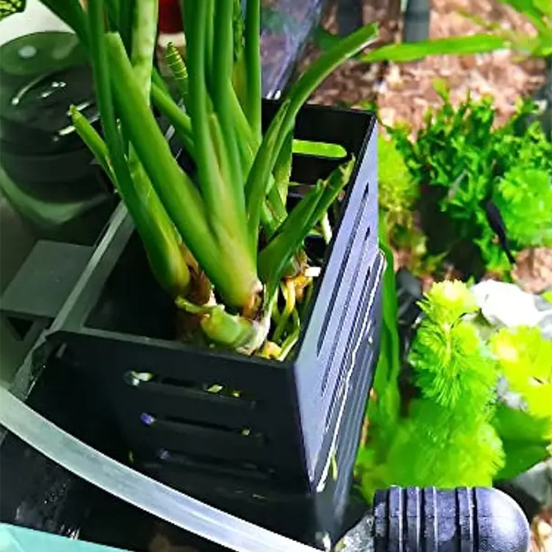 Pet Balık Tankı Süslemeleri Ak - Aquarium Decor incelemesi ve fiyatı