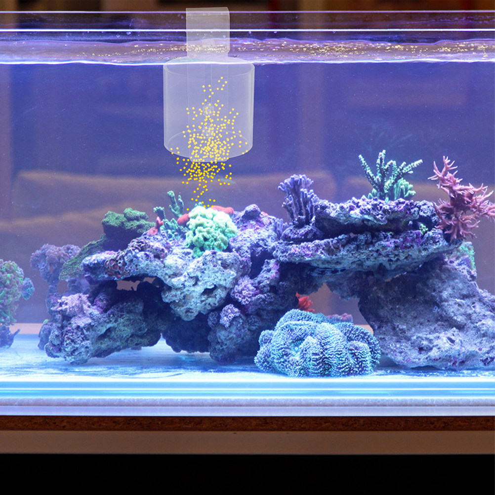 Betta Balığı, Karides ve Kaplu - Aquarium Fish Keeping incelemesi ve fiyatı