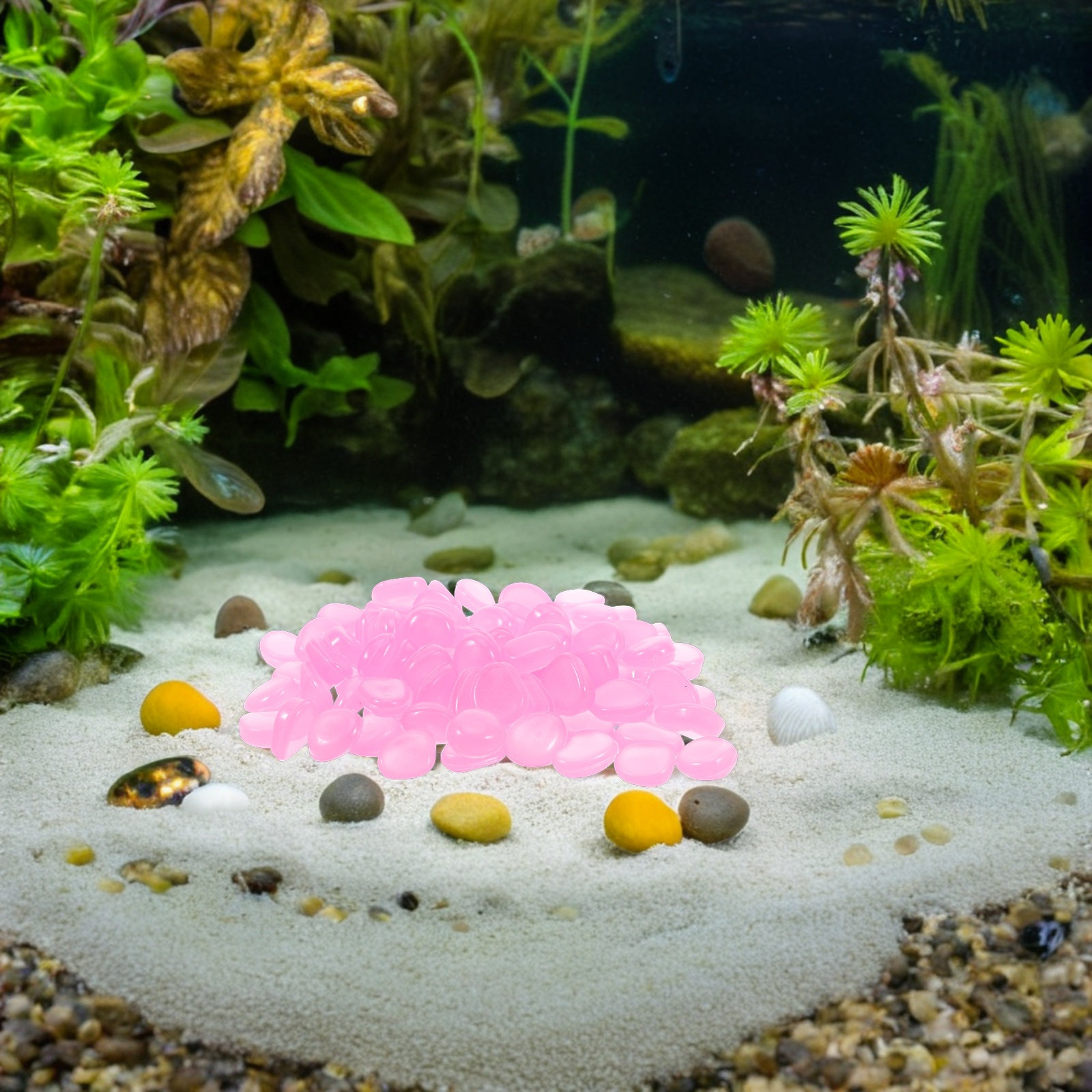 Akvaryum, Balık Tankı, Bahçe v - Aquarium Plants incelemesi ve fiyatı