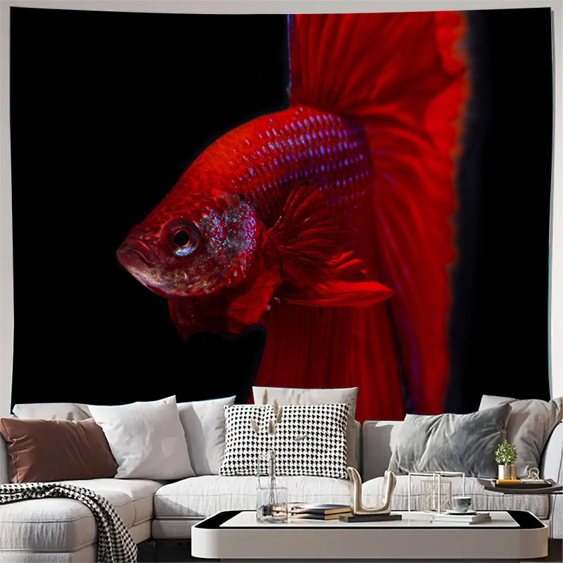 Canlı kırmızı Betta balığı gob - Fish Aquarium Home incelemesi ve fiyatı