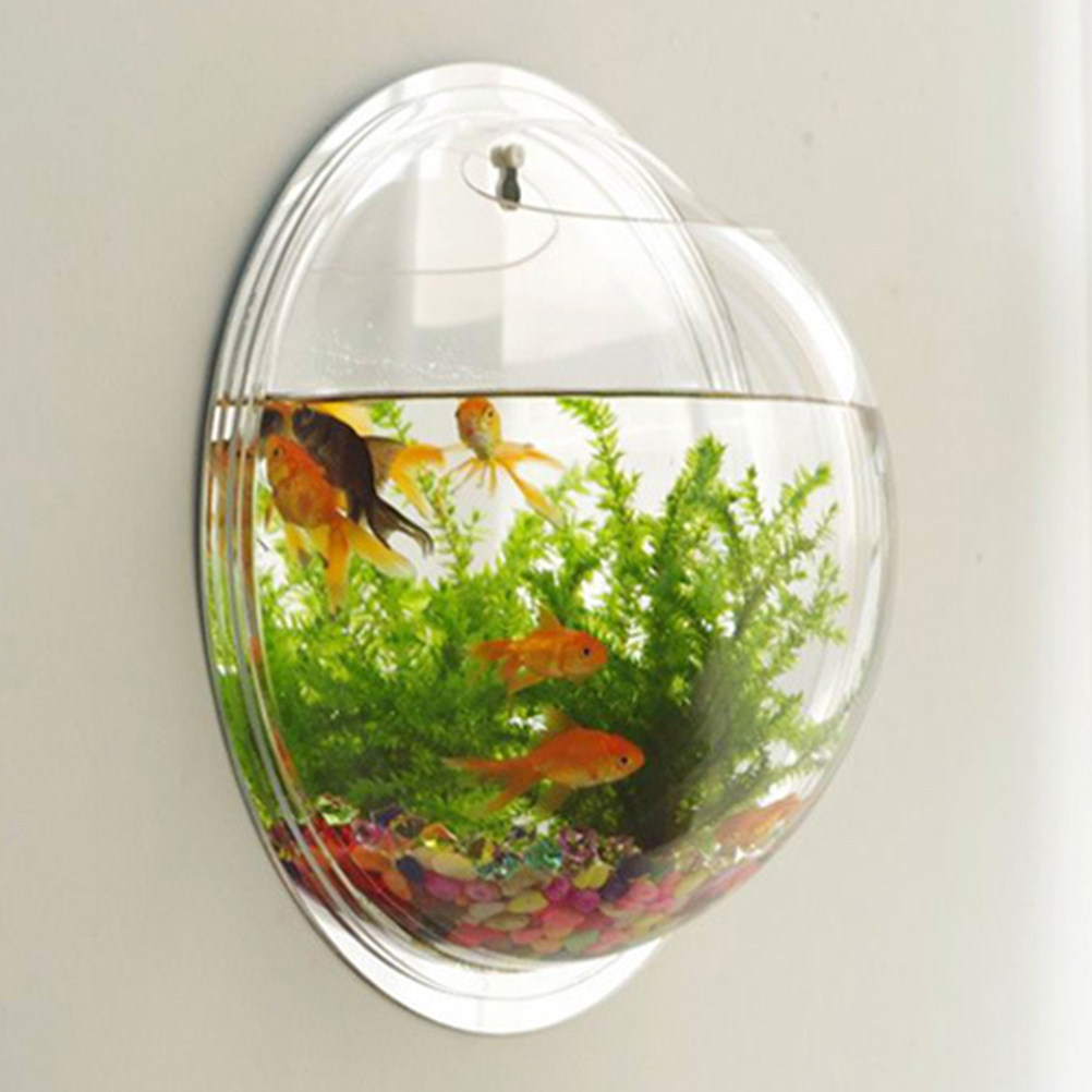 Duvara Asılabilen Akrilik Balı - Aquarium Fish Betta incelemesi ve fiyatı