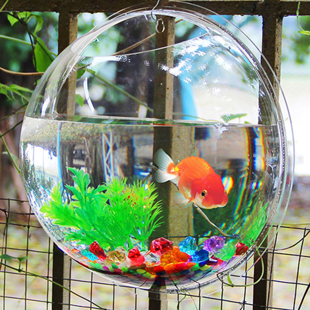 Duvara Asılabilen Akrilik Balı - Aquarium Fish Betta incelemesi ve fiyatı