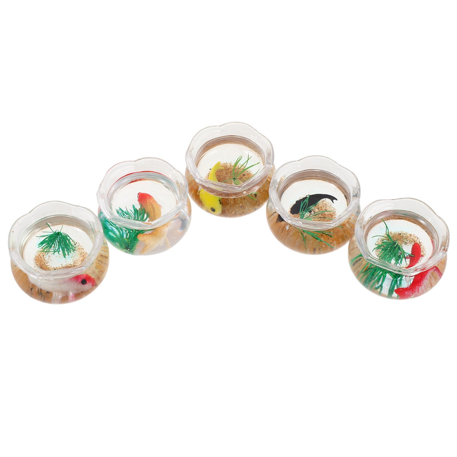 5 adet Mini Koi Balığı Akvaryu - Aquarium Plants incelemesi ve fiyatı